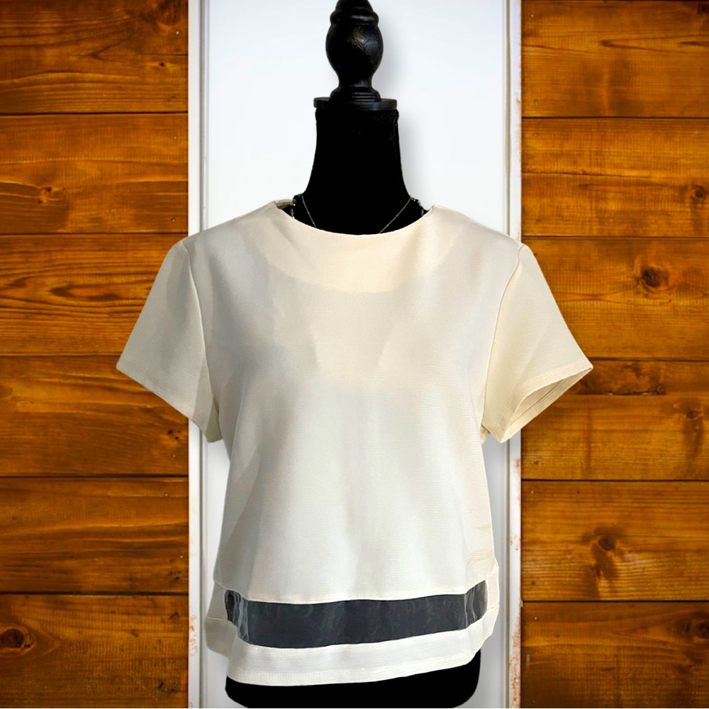 Fashion Union Sheer Bottom Short Sleeve Crop Top